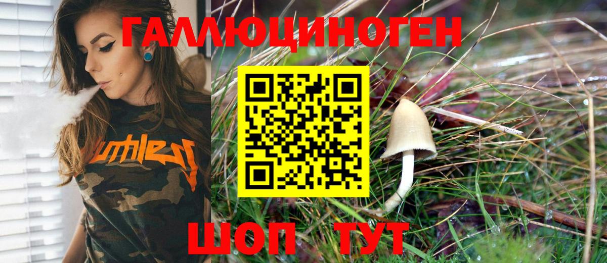 Галлюциногенные грибы Psilocybe  Вход с VPN  Псилоцибиновые грибы прущие грибы  Грязи 